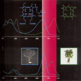 Chemistry – A European Journal Cover Quiz